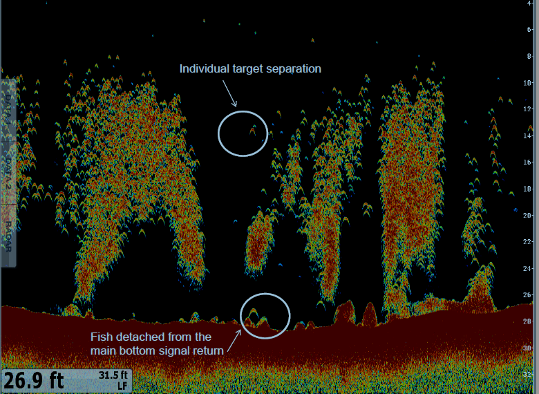 CHIRP vs NONCHIRP What’s the difference? Shotgun Marine Services
